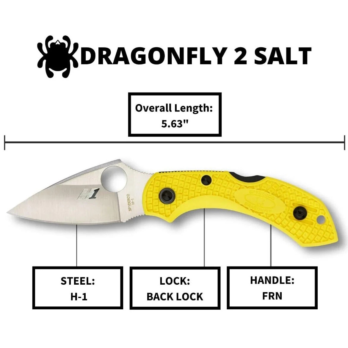 Spyderco Dragonfly 2 Lightweight Salt Folding Knife with 2.25″ H-1 Steel Blade,