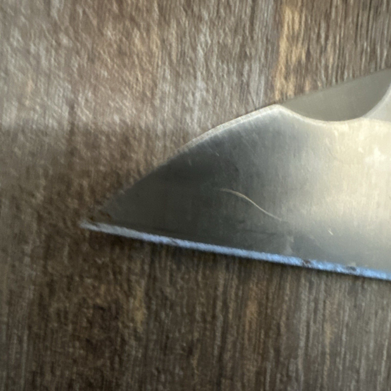 SOG Neck Knife 2-2.99in Straight Edge Stainless Steel Blade Silver Handle