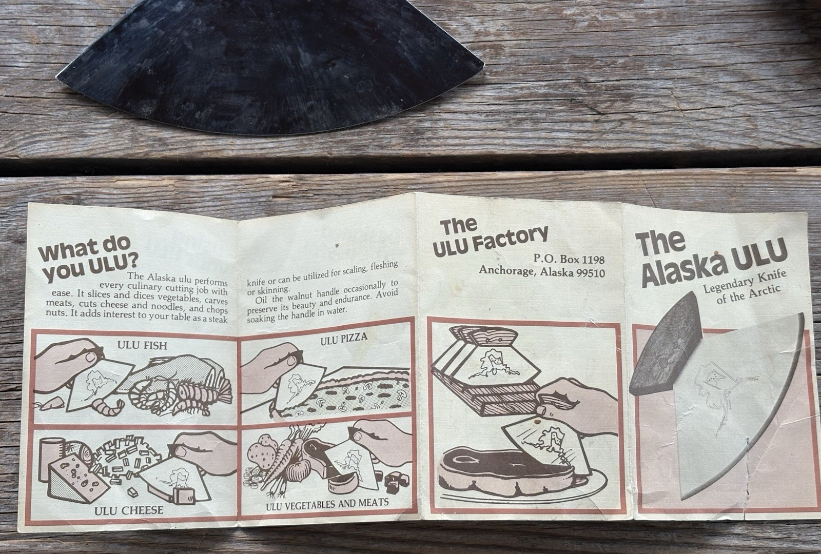 The Alaska Ulu Engraved Bone Handled Knife W~Display Stand~Box~Small Leaflet Vtg
