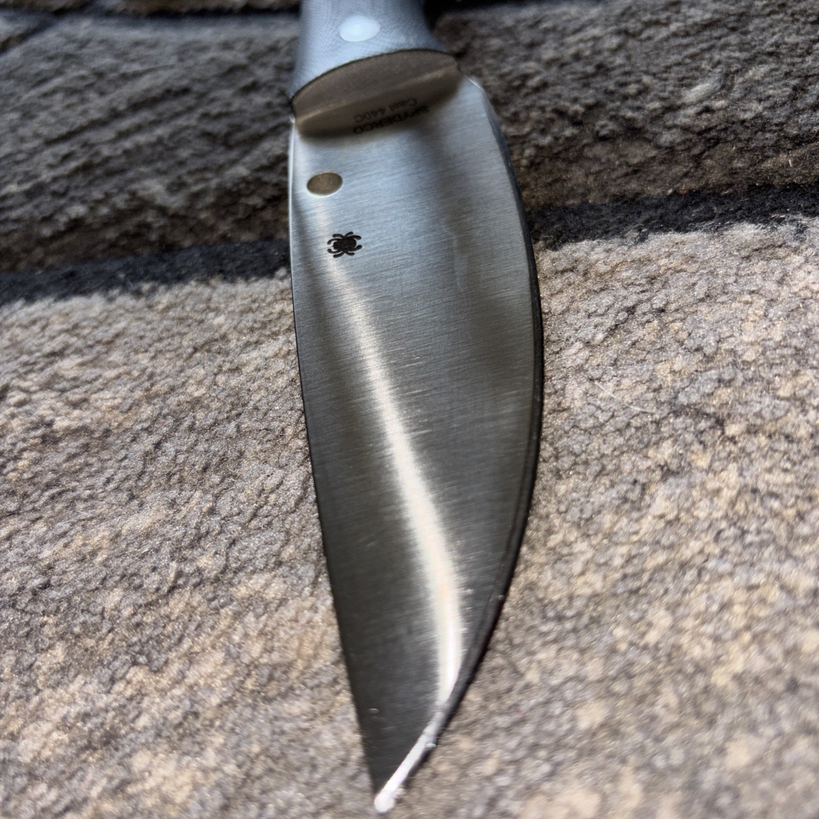 Spyderco Serrata FB32GP Knife 4.625 Cast 440C Blade Black G10 BoltSheathn New !!