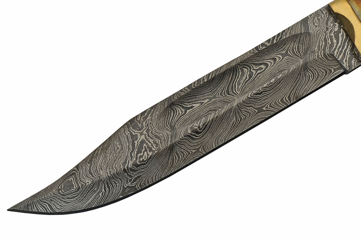 NEW Hunting Knife 8″ Damascus Steel Blade Burnt Bone/Turquoise Handle + Sheath