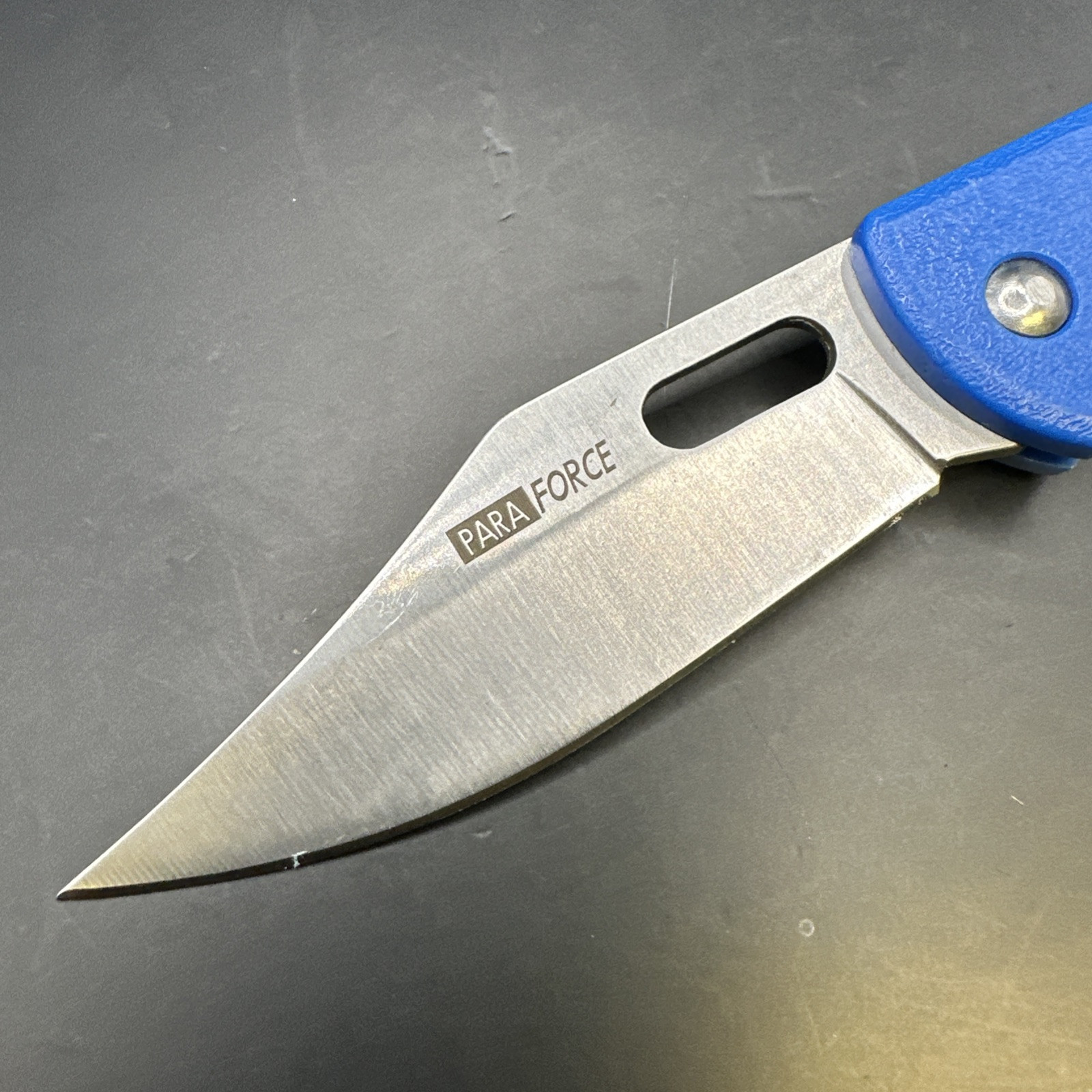 AccuSharp Paraforce 3″ Stainless Clip Point Folding Knife Pocket Folder – 801C