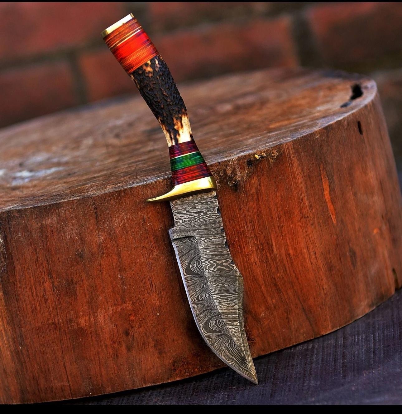 8”EDC Choice Handmade Damascus Steel Fix Blade Skinner Knife Outdoor Stag Antler