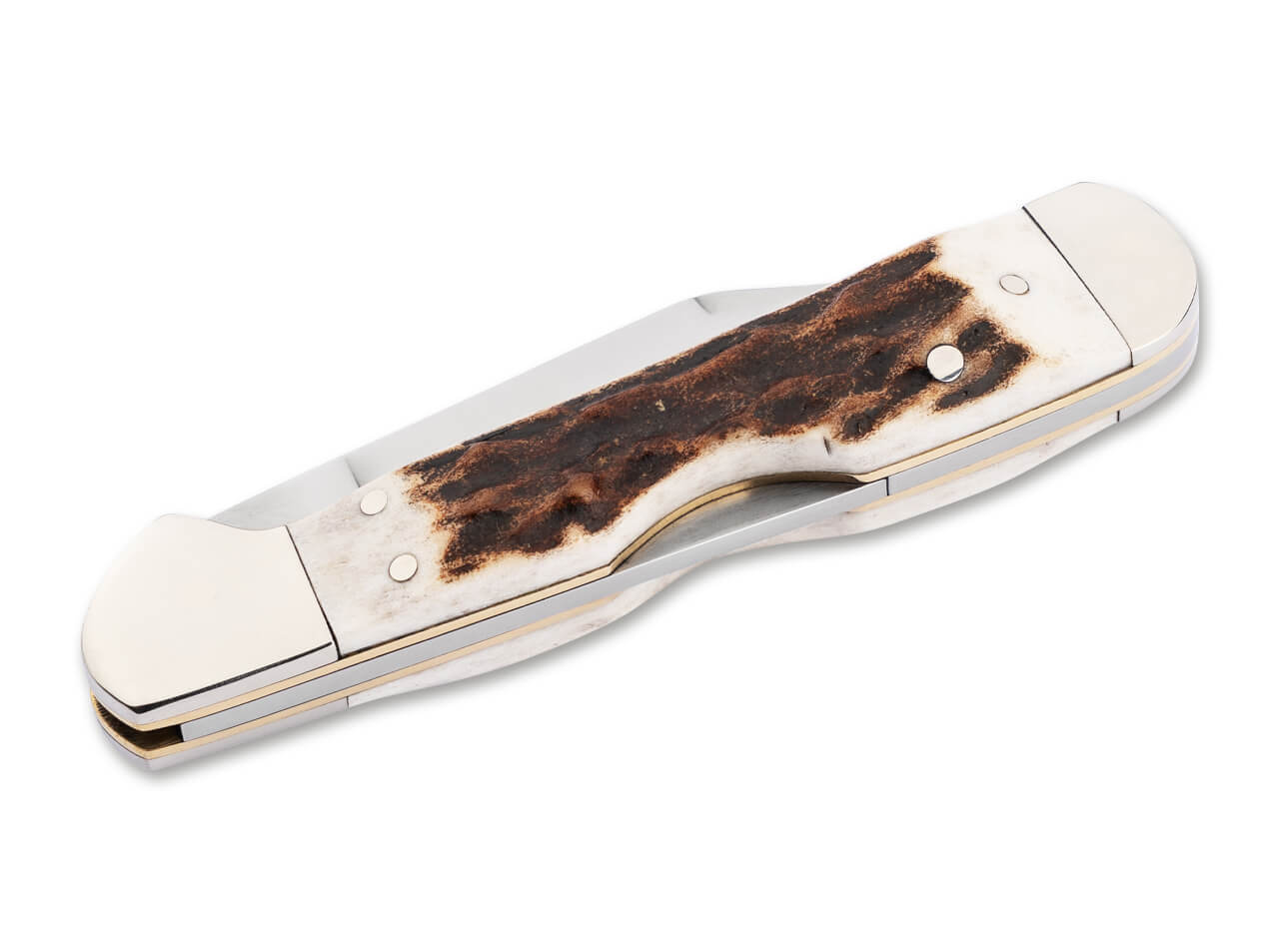 Pocket Knife Boker TS 2.0 Mini Copper Lock Stag 2.63″ D2 Blade Backlock ✔️110872