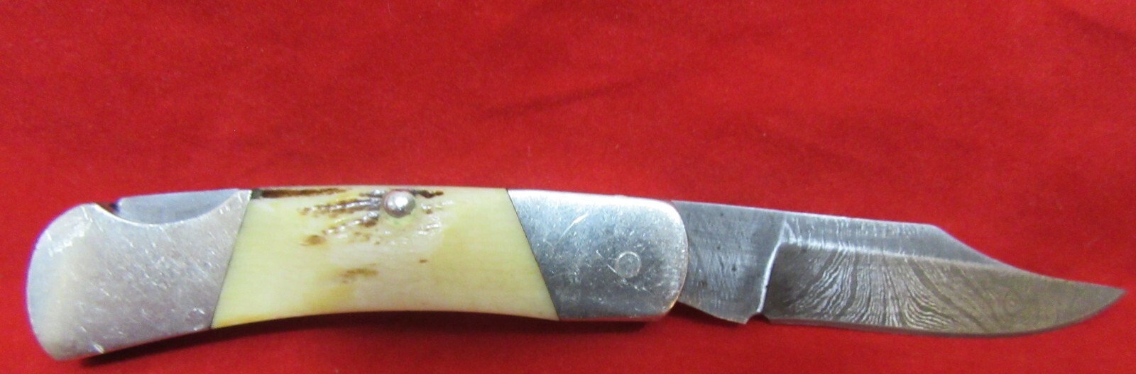 Bear & Son Folding Knife 2.25in Damascus Blade Genuine India Stag