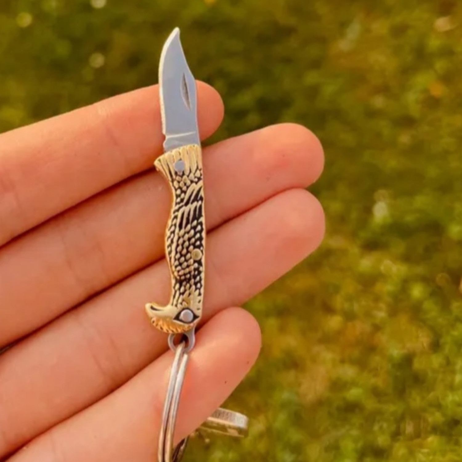 Mini Folding Pocket Knife Hunting Survival Camping Keychain Stainles Steel Eagle