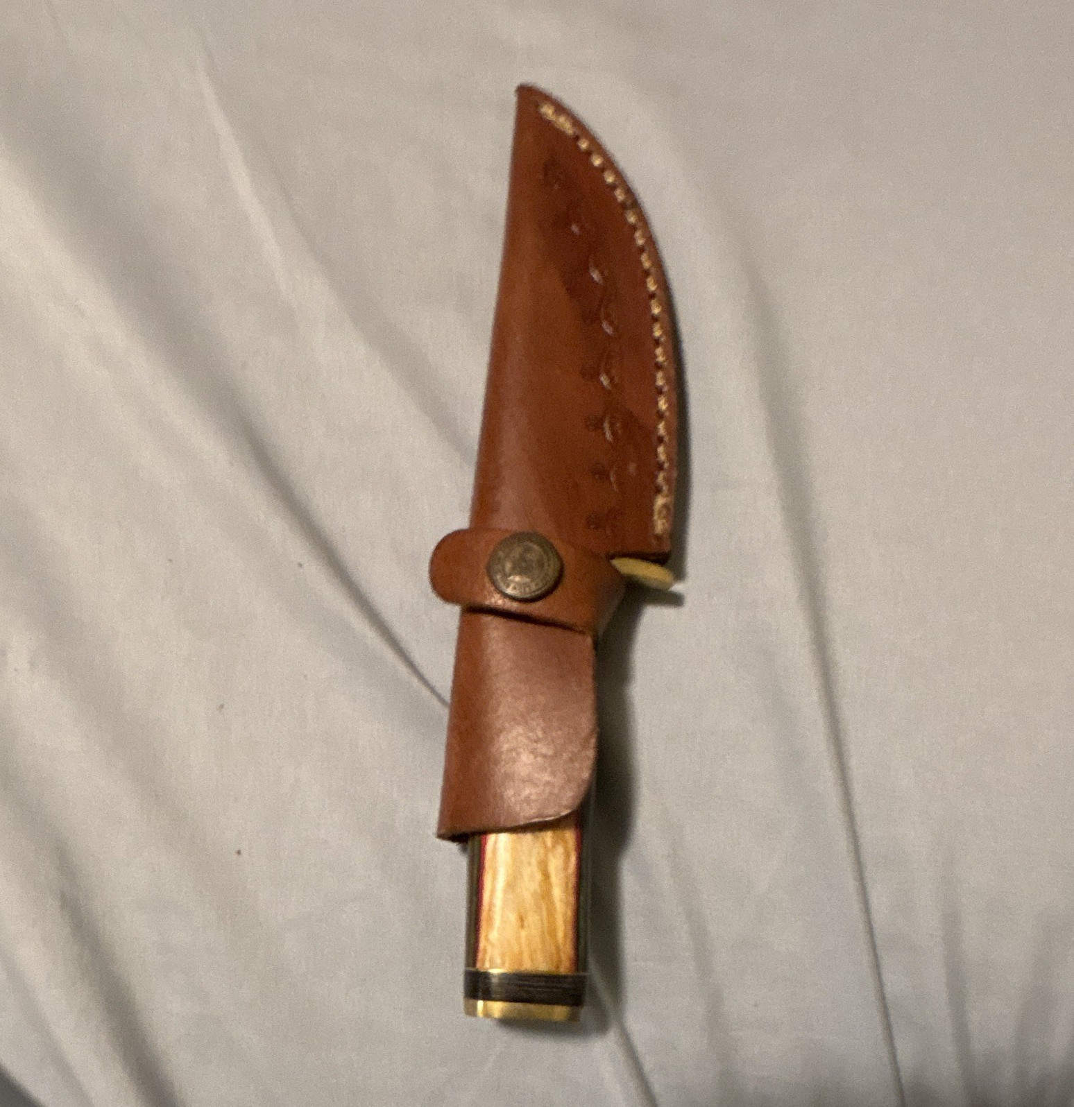 Fixed Blade Hunting Knife 3in Straight Edge Stainless Steel Wood/Brass Sheath