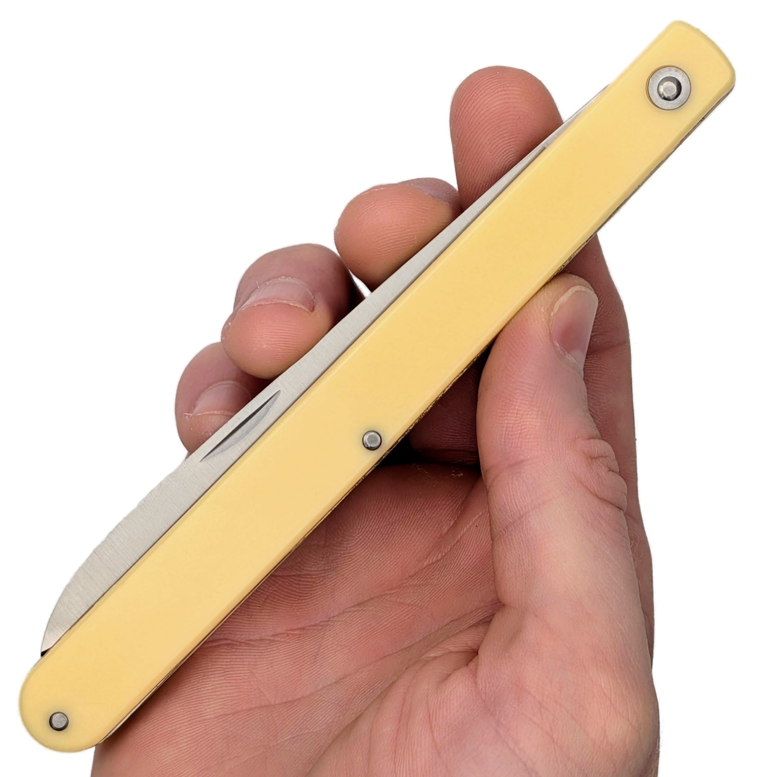 FOLDING POCKET KNIFE | Alabaster Fruit Harvest Sampler Folding Knife w/ Sheath