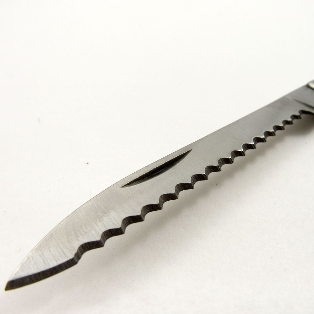 NEW Folding Knife Fruit Sampler 4.5″ Stainless Steel 2-Blade Case Included