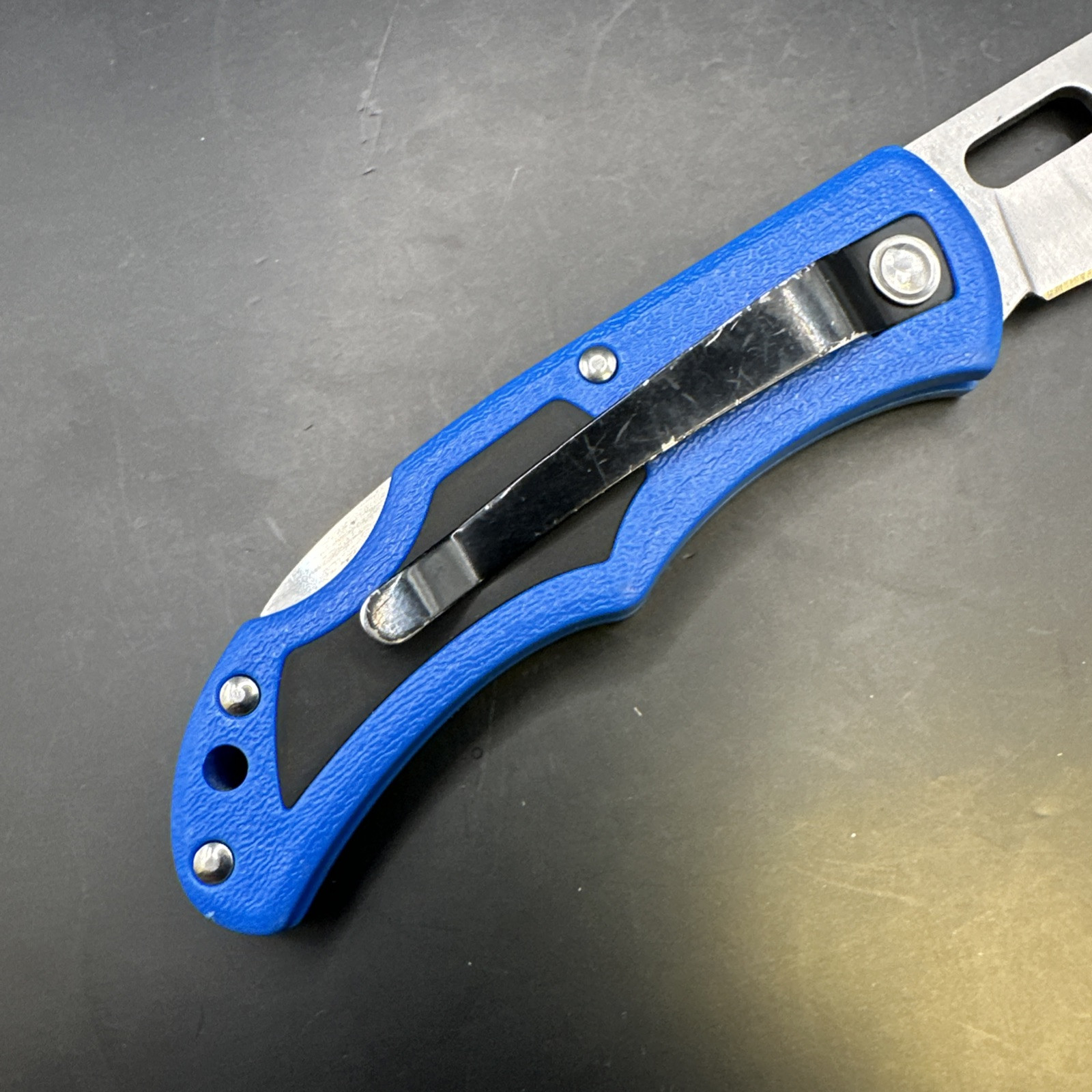 AccuSharp Paraforce 3″ Stainless Clip Point Folding Knife Pocket Folder – 801C