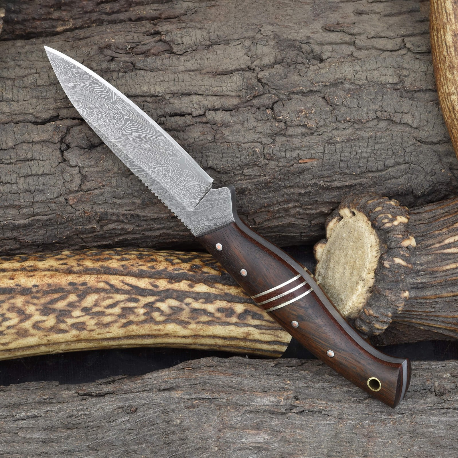 Knives Ranch Hunting Knife | 8-1/2″ Camping Knife – 3/16″ Damascus Blade
