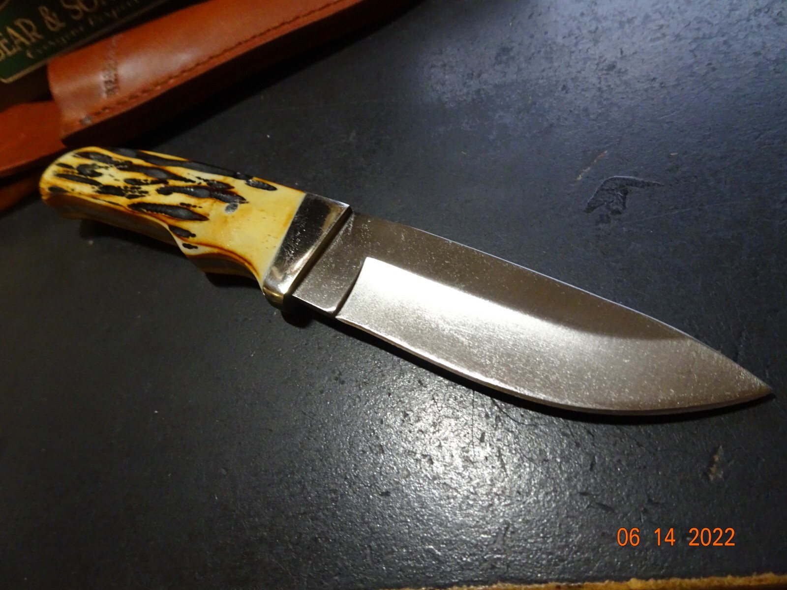 BEAR & SONS CUTLERY 7 7/8″ DROP POINT HUNTER INDIA STAG BONE HANDLE LEA SH USA