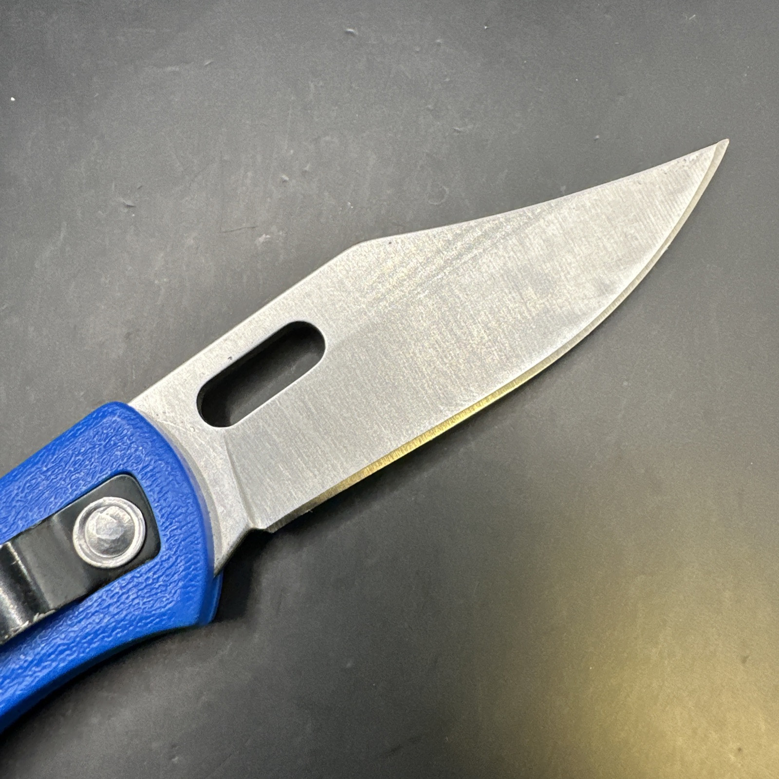 AccuSharp Paraforce 3″ Stainless Clip Point Folding Knife Pocket Folder – 801C