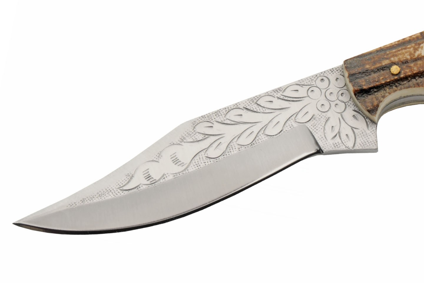 Hunting Knife 8.75″ Camel Bone Handle Stag Bolster Engraved Clip Blade + Sheath