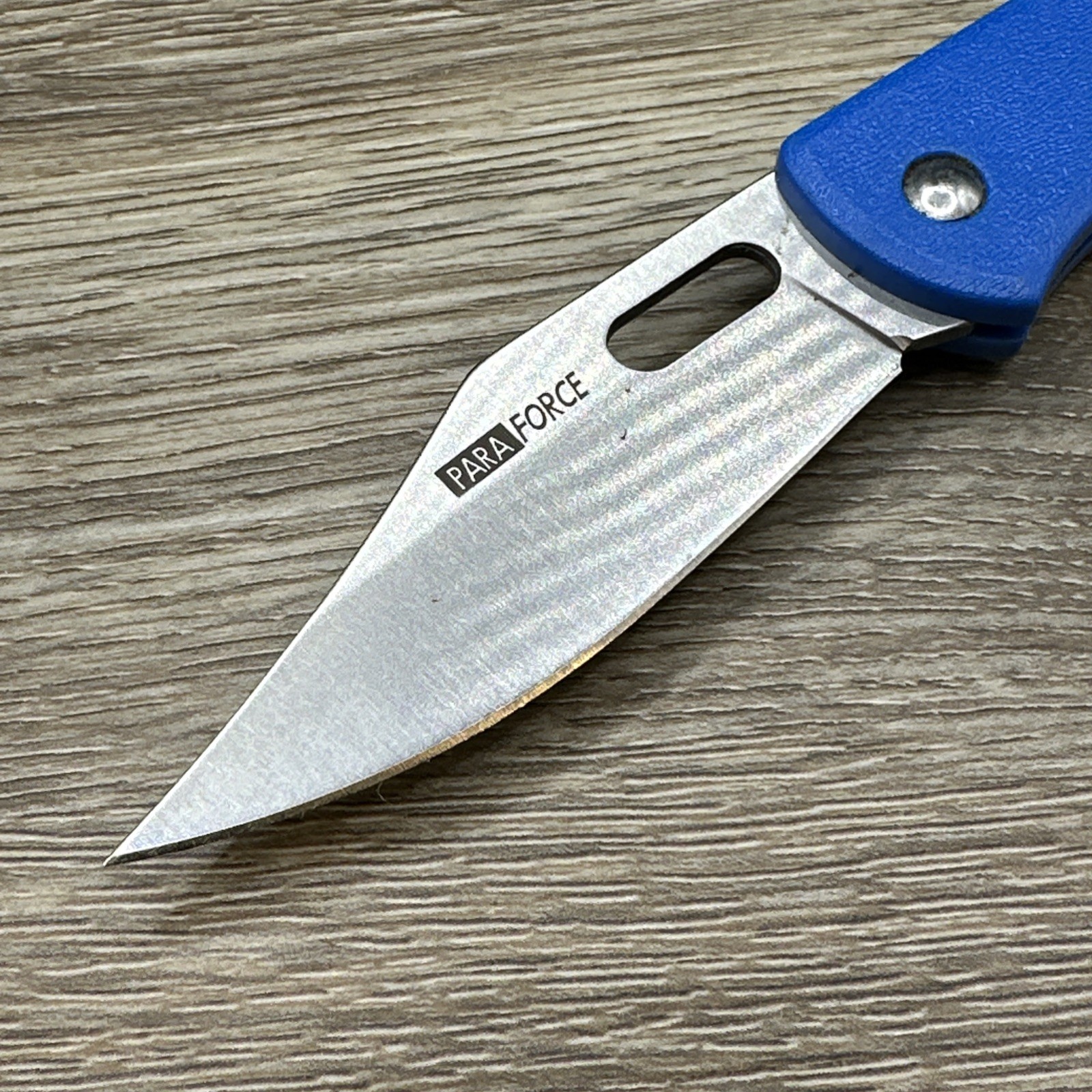 AccuSharp Paraforce 3″ Stainless Clip Point Folding Knife Pocket Folder – 801C