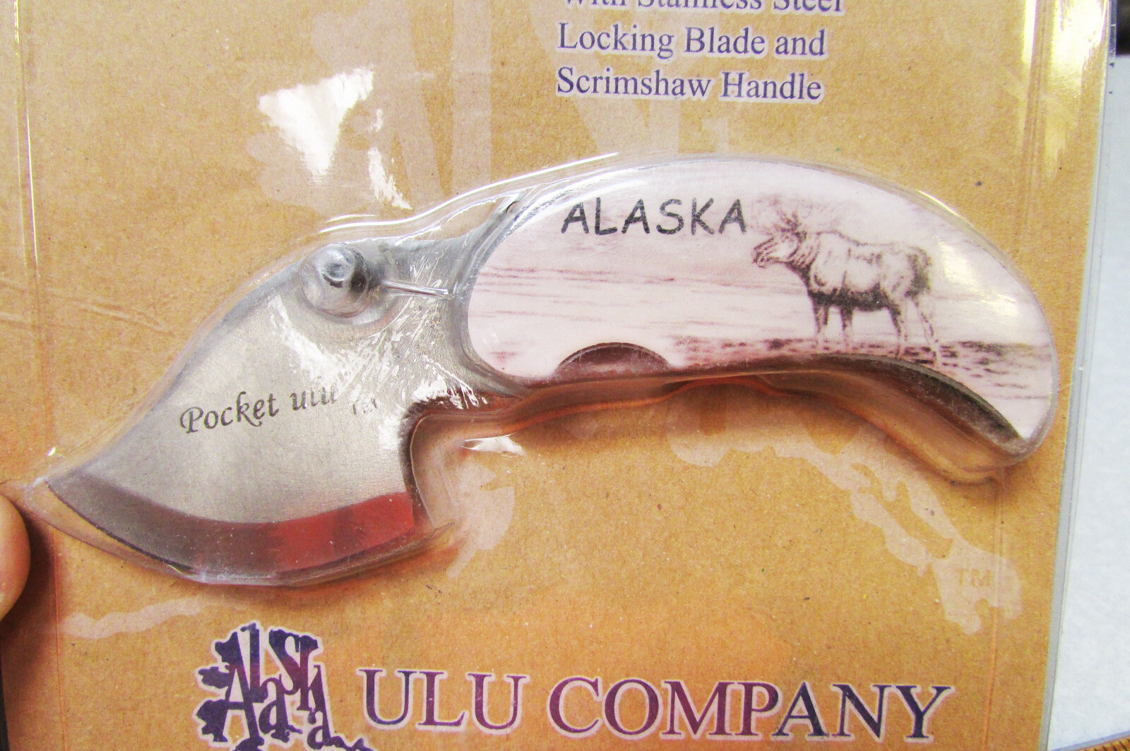 Alaska Pocket Ulu with Stainless Steel Locking Blade – Bull Moose Artwork