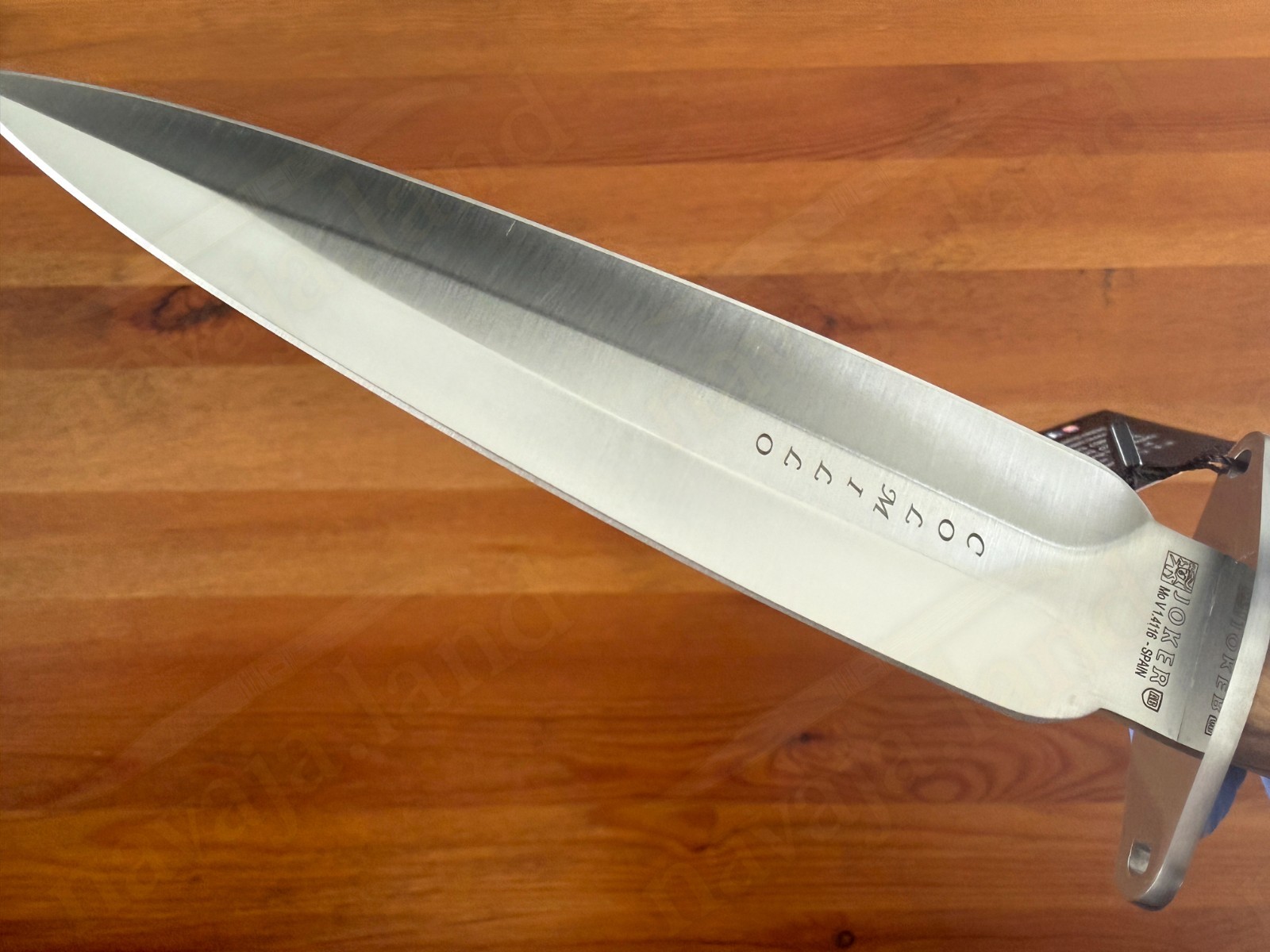 🔪Joker Colmillo Hunting Knife – 8.66” MOVA Blade | Olive Wood Handle | Spain